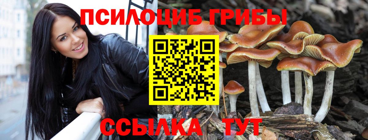 Галлюциногенные грибы прущие грибы  Керчь 