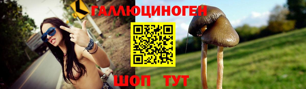 Галлюциногенные грибы мухоморы  Вход с VPN  Керчь 